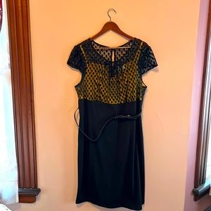 Cato Woman’s Dress size 20